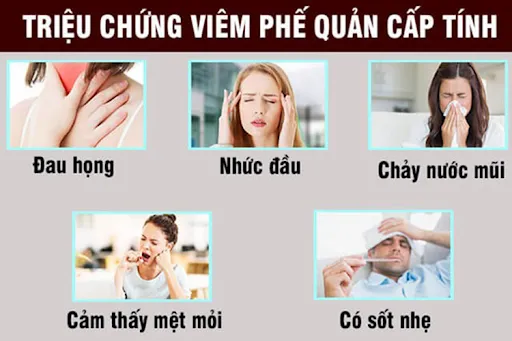 Các triệu chứng điển hình của bệnh viêm phế quản cấp